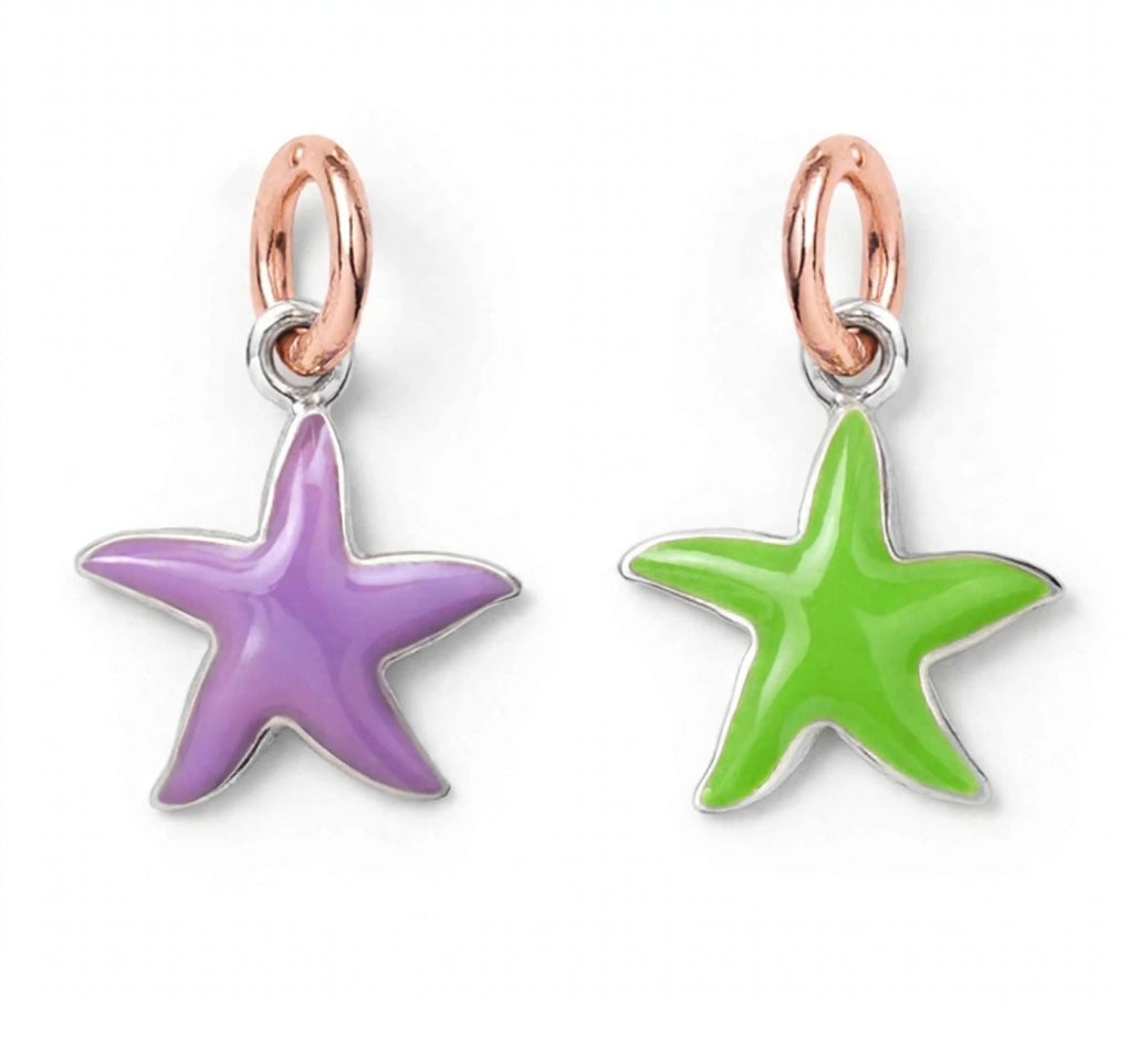 Stellina in argento e oro o in argento oro e smalti.