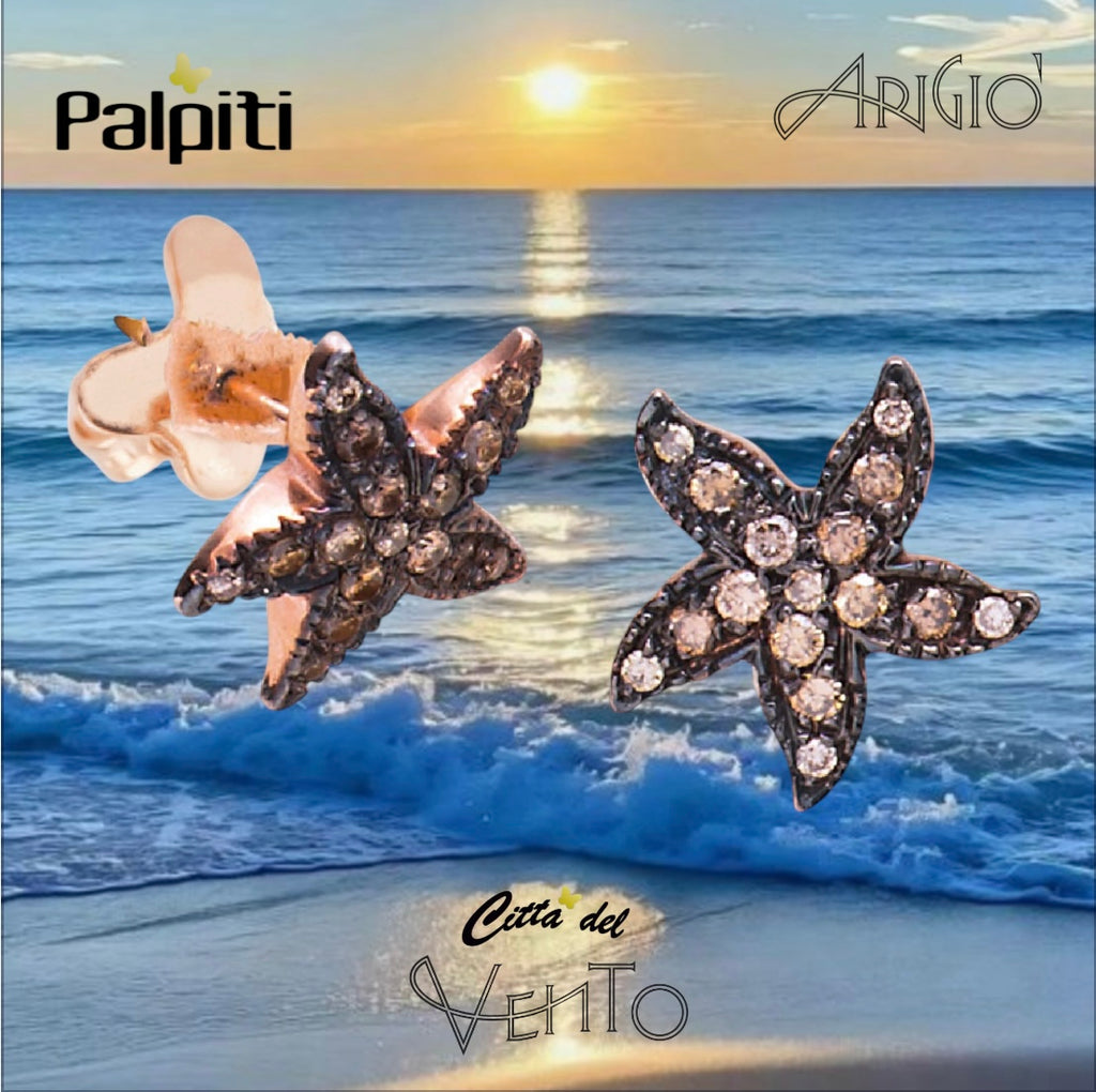 Paio Orecchini Stelle BW