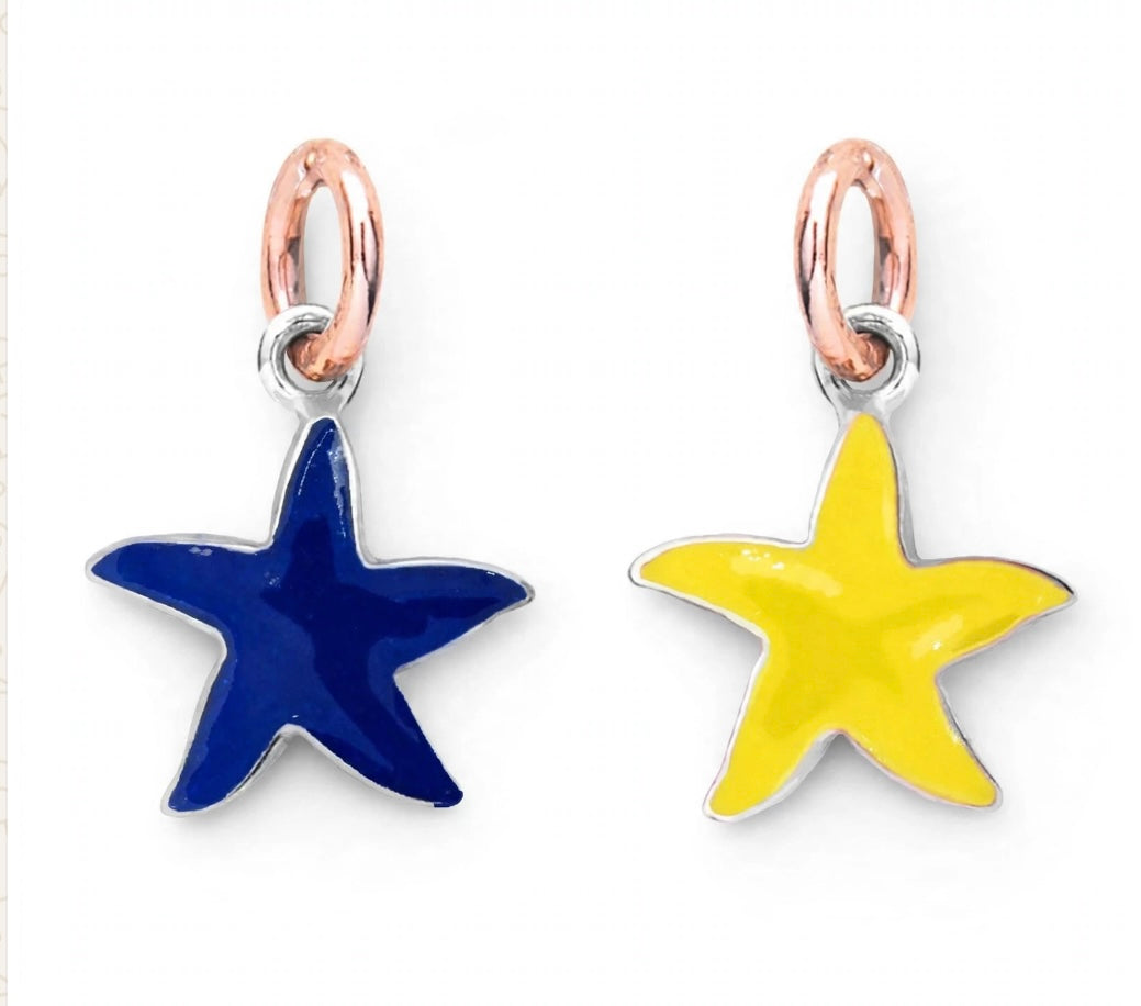 Stellina in argento e oro o in argento oro e smalti.